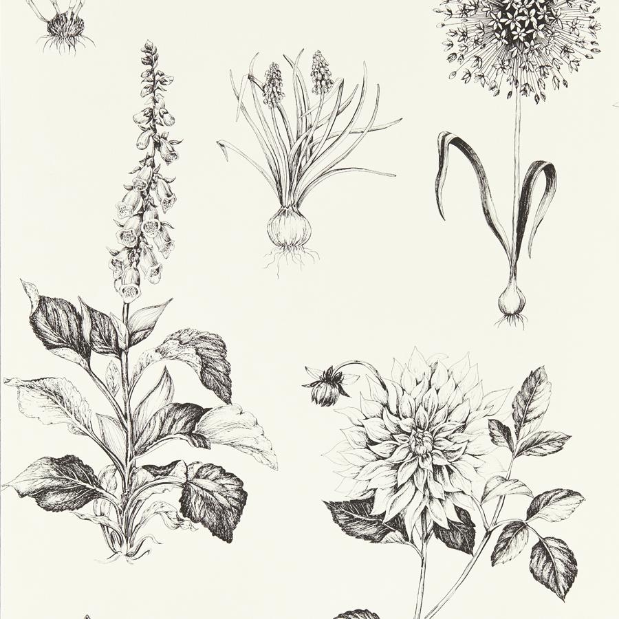 W0197/02 | Roseraie, Black Botanical - Clarke And Clarke Wallpaper