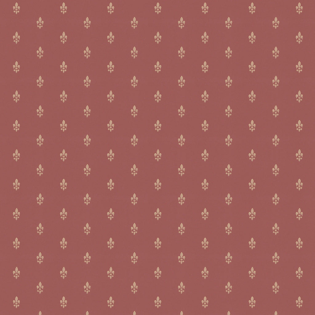 French Lily/ Fleur de lis