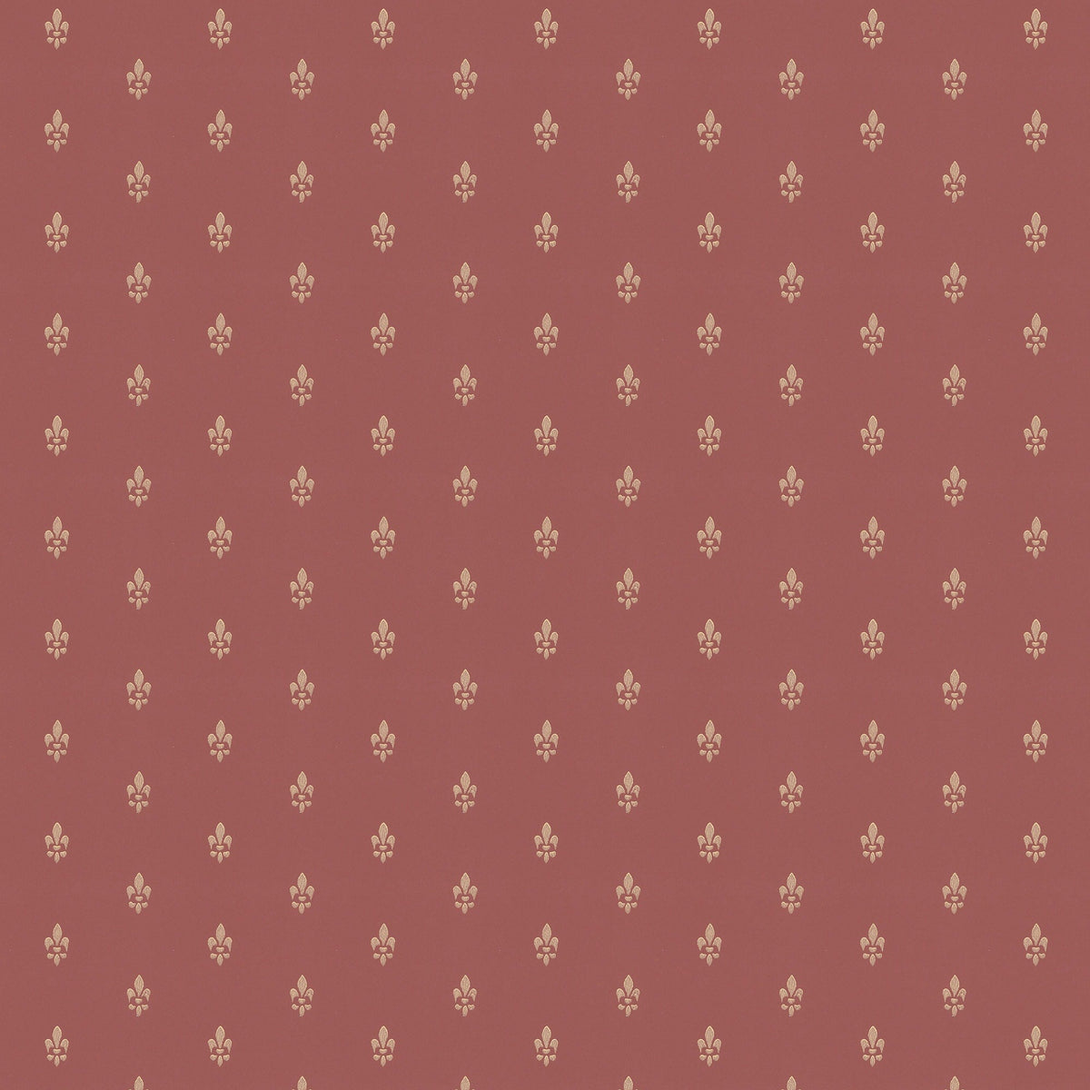 French Lily/ Fleur de lis